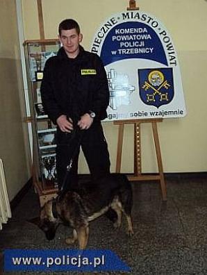 Trzebnica: Pies do wykrywania narkotyków w szeregach miejscowej policji